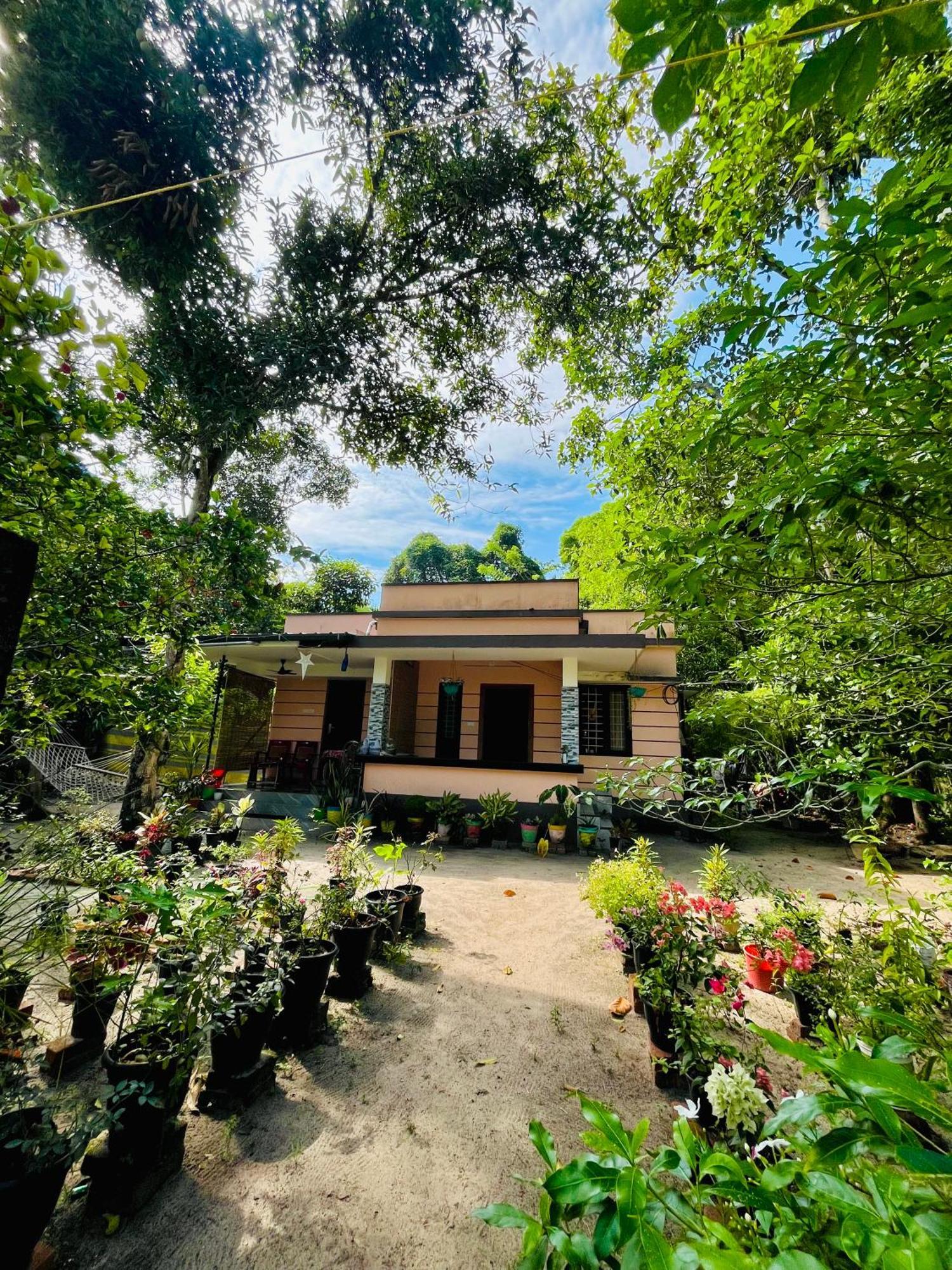 Marari Kallyani Beach Homestay Mararikulam Zewnętrze zdjęcie