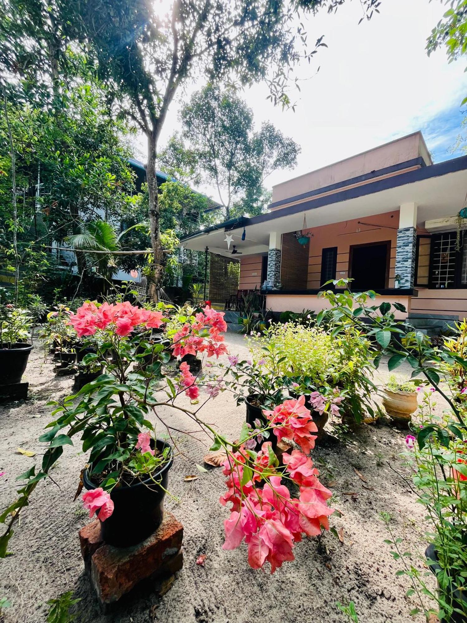 Marari Kallyani Beach Homestay Mararikulam Zewnętrze zdjęcie
